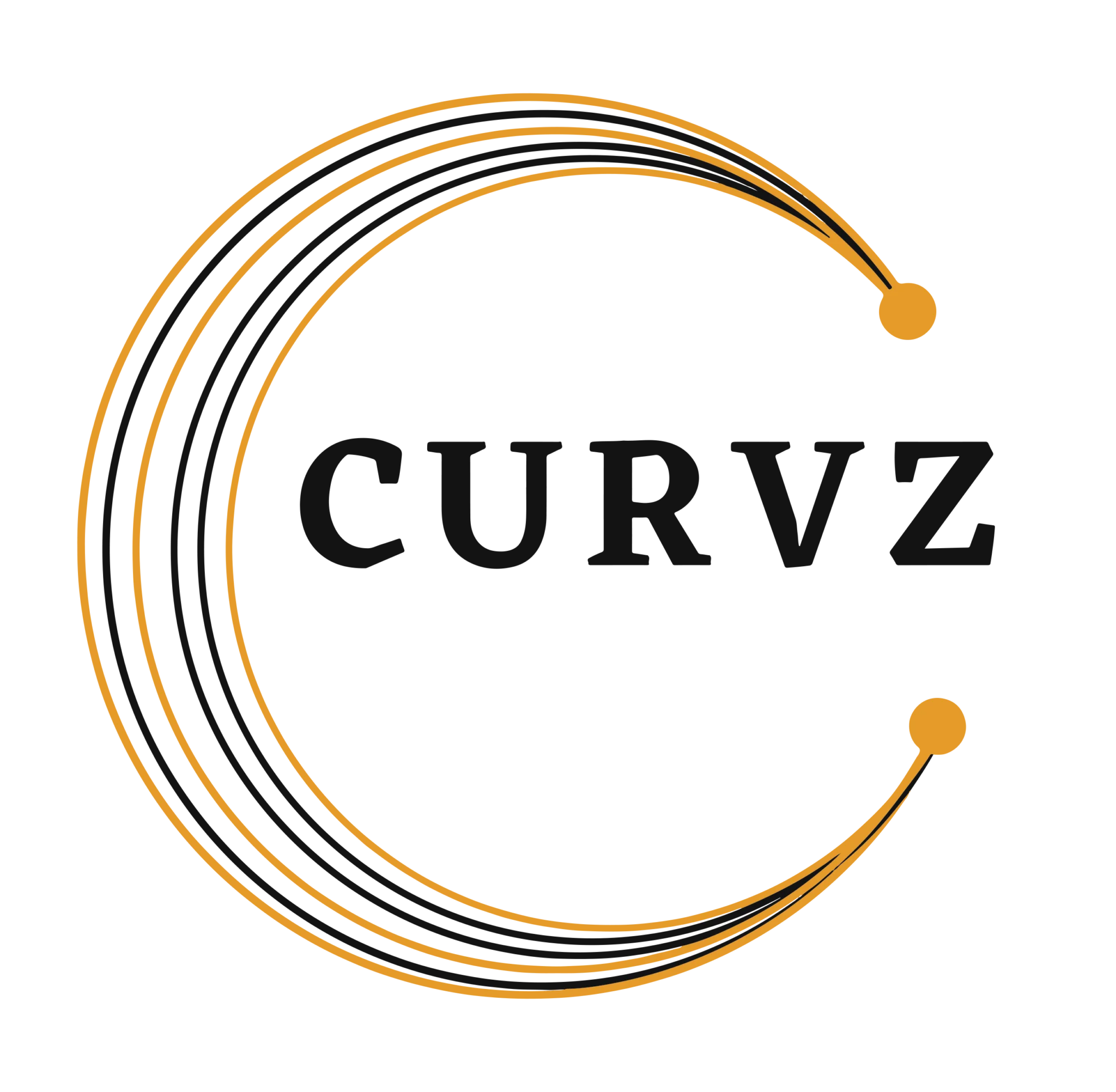 CURVZ LOGO